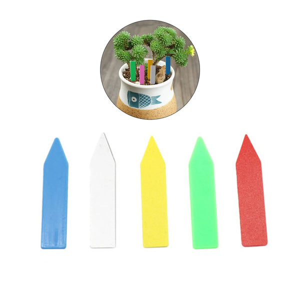 Categorizador De Plantação (50 peças) - Organize Sua Orta Por Cores